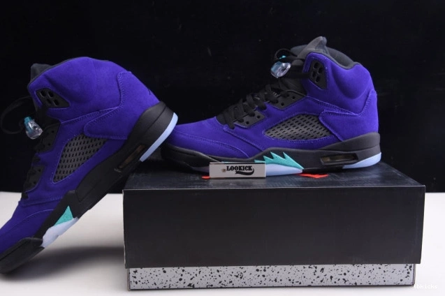 Rep TB Jordan Air Retro Grape 136027-500 5 Alternate 0702